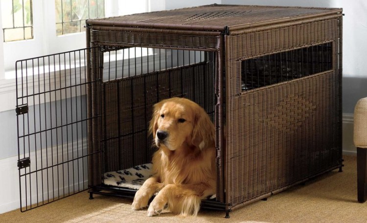 The Advantages of Choosing Diverse Collection in Dog Crates